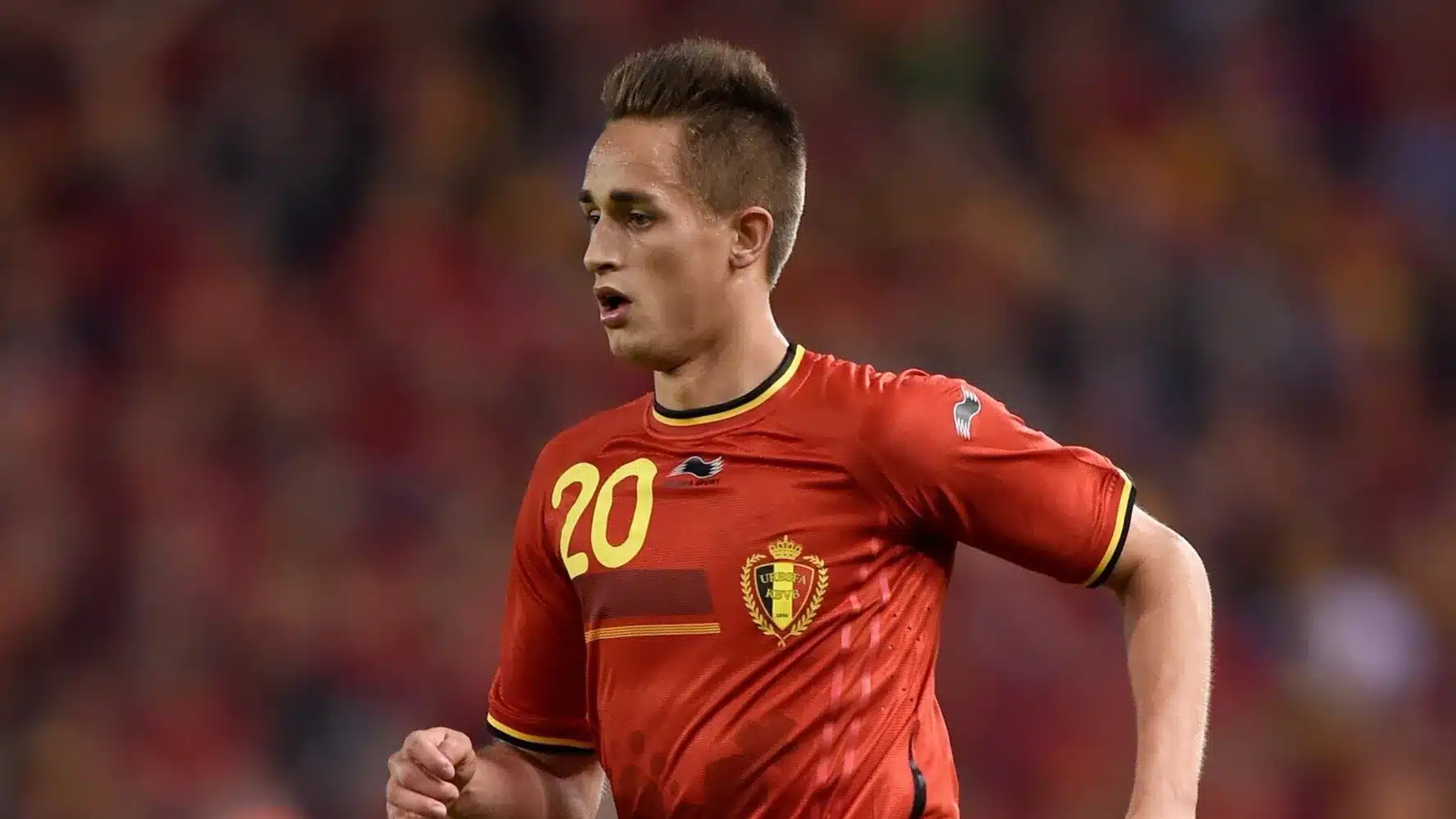 adnan januzaj