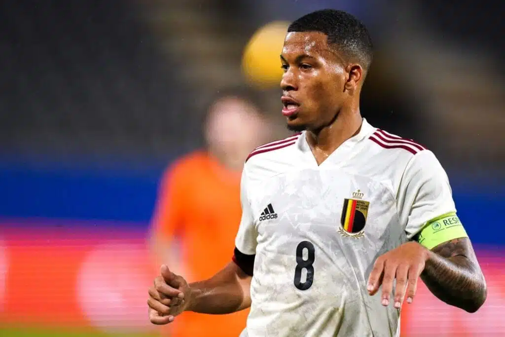 Aster Vranckx diable rouge